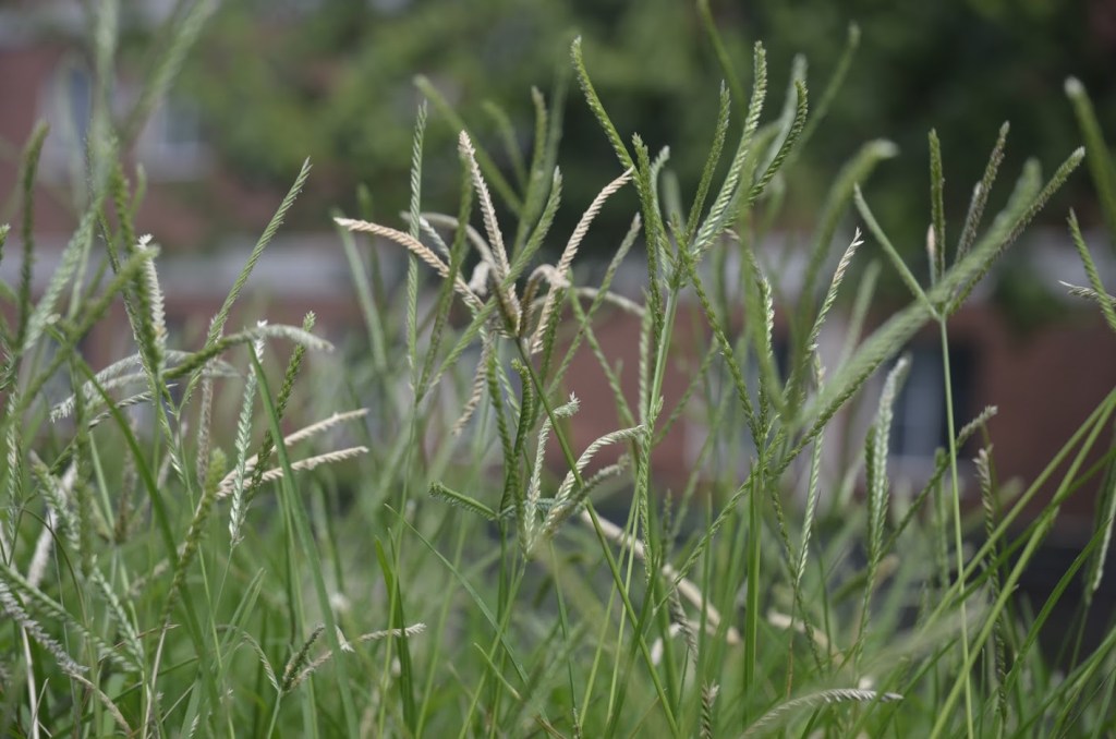 Why do I need an&nbsp;ePortfolio?