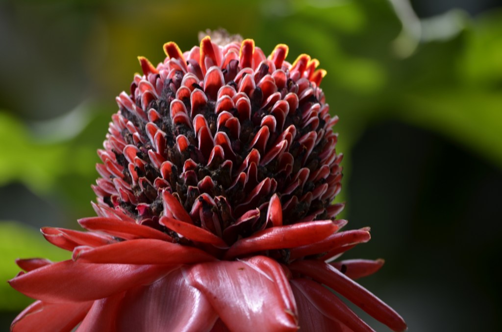 My perception of the Growth&nbsp;Mindset