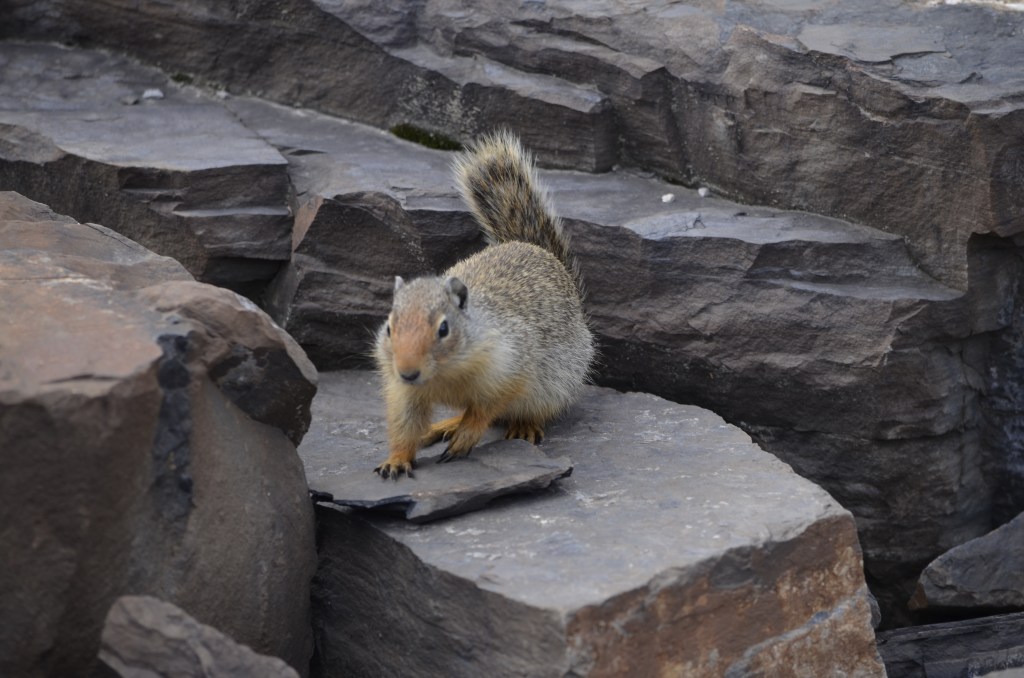 Power of Growth&nbsp;Mindset