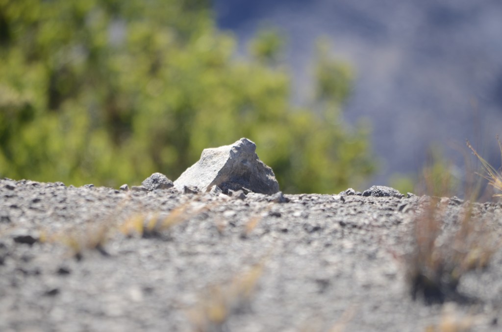 ePortfolio Blog Post Check&nbsp;in